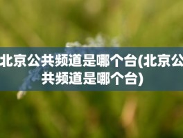 北京公共频道是哪个台(北京公共频道是哪个台)