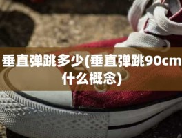 垂直弹跳多少(垂直弹跳90cm什么概念)