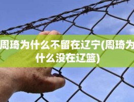 周琦为什么不留在辽宁(周琦为什么没在辽篮)