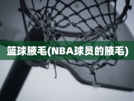 篮球腋毛(NBA球员的腋毛)