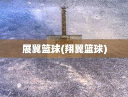 展翼篮球(翔翼篮球)