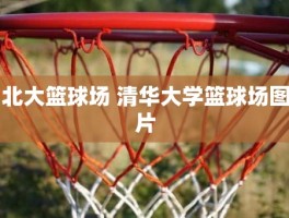 北大篮球场 清华大学篮球场图片