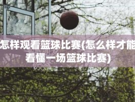 怎样观看篮球比赛(怎么样才能看懂一场篮球比赛)