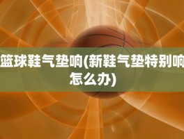 篮球鞋气垫响(新鞋气垫特别响怎么办)