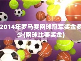 2014年罗马赛网球冠军奖金多少(网球比赛奖金)