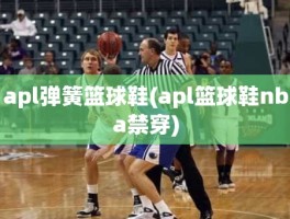 apl弹簧篮球鞋(apl篮球鞋nba禁穿)