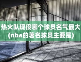 热火队现役哪个球员名气最大(nba的著名球员主要是)