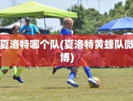 夏洛特哪个队(夏洛特黄蜂队微博)