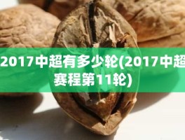 2017中超有多少轮(2017中超赛程第11轮)