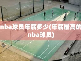 nba球员年薪多少(年薪最高的nba球员)