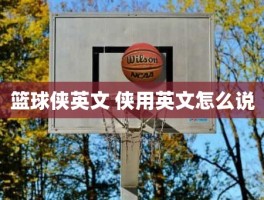 篮球侠英文 侠用英文怎么说