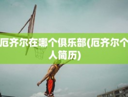 厄齐尔在哪个俱乐部(厄齐尔个人简历)