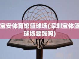 宝安体育馆篮球场(深圳宝体篮球场要钱吗)