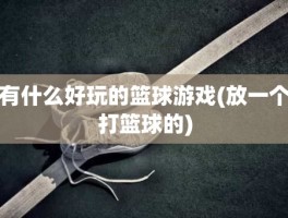 有什么好玩的篮球游戏(放一个打篮球的)