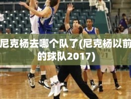 尼克杨去哪个队了(尼克杨以前的球队2017)