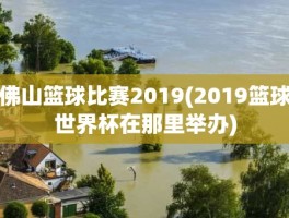 佛山篮球比赛2019(2019篮球世界杯在那里举办)