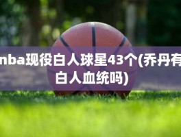 nba现役白人球星43个(乔丹有白人血统吗)