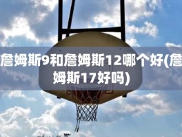 詹姆斯9和詹姆斯12哪个好(詹姆斯17好吗)