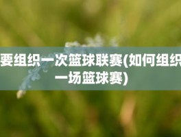 要组织一次篮球联赛(如何组织一场篮球赛)