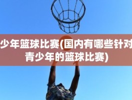 少年篮球比赛(国内有哪些针对青少年的篮球比赛)