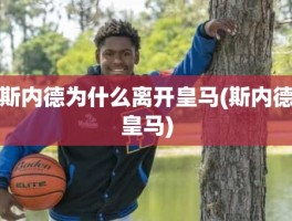 斯内德为什么离开皇马(斯内德皇马)