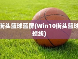 街头篮球蓝屏(Win10街头篮球掉线)