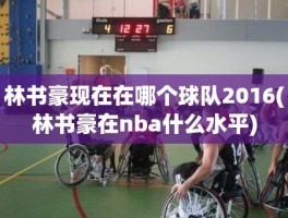 林书豪现在在哪个球队2016(林书豪在nba什么水平)