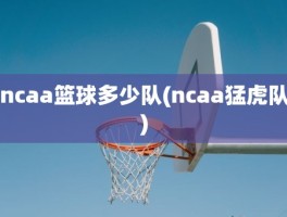 ncaa篮球多少队(ncaa猛虎队)