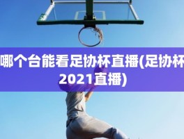 哪个台能看足协杯直播(足协杯2021直播)