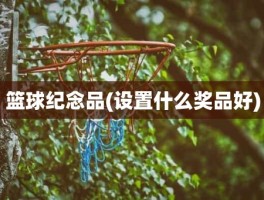 篮球纪念品(设置什么奖品好)