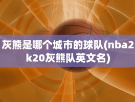 灰熊是哪个城市的球队(nba2k20灰熊队英文名)