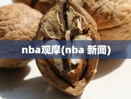 nba观摩(nba 新闻)
