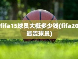 fifa15球员大概多少钱(fifa20最贵球员)