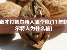 奇才打凯尔特人哪个赢(11年凯尔特人为什么输)