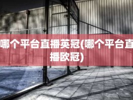 哪个平台直播英冠(哪个平台直播欧冠)