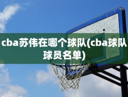 cba苏伟在哪个球队(cba球队球员名单)