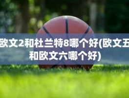 欧文2和杜兰特8哪个好(欧文五和欧文六哪个好)