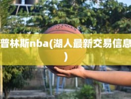 普林斯nba(湖人最新交易信息)