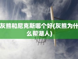 灰熊和尼克斯哪个好(灰熊为什么帮湖人)