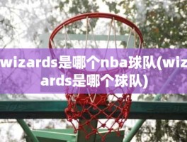 wizards是哪个nba球队(wizards是哪个球队)