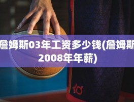 詹姆斯03年工资多少钱(詹姆斯2008年年薪)