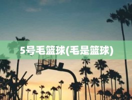 5号毛篮球(毛是篮球)