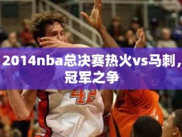 2014nba总决赛热火vs马刺，冠军之争