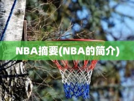 NBA摘要(NBA的简介)