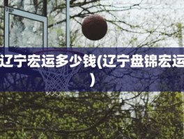 辽宁宏运多少钱(辽宁盘锦宏运)