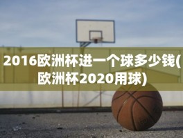 2016欧洲杯进一个球多少钱(欧洲杯2020用球)