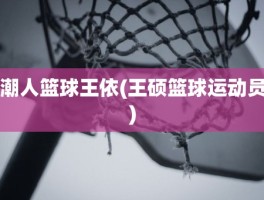 潮人篮球王依(王硕篮球运动员)