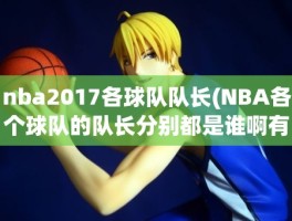 nba2017各球队队长(NBA各个球队的队长分别都是谁啊有知道的吗)