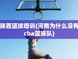 陕西篮球培训(河南为什么没有cba篮球队)