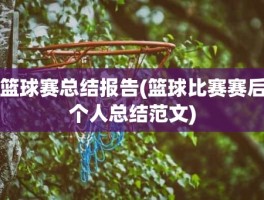 篮球赛总结报告(篮球比赛赛后个人总结范文)